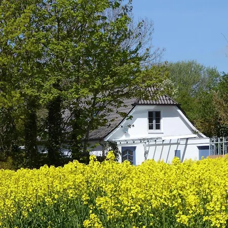 Sonnenschein Holiday home Fehmarn