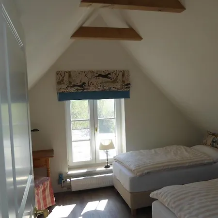 Sonnenschein 9184 - Neujellingsdorf *